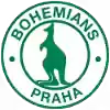 波希米亚人1905B队
